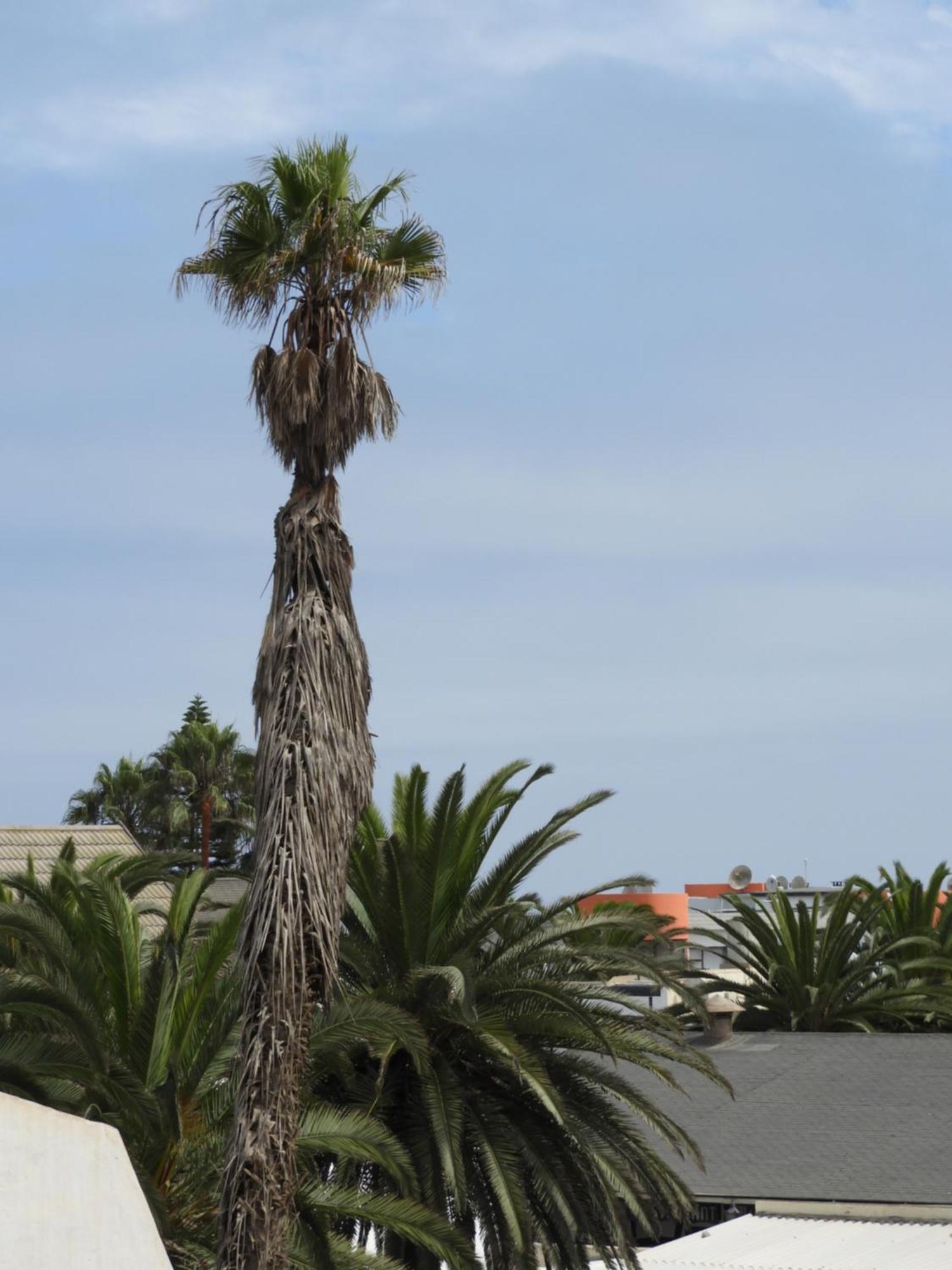 Central Self Catering Swakopmund Exterior photo
